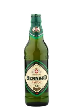 Bernard světlý ležák