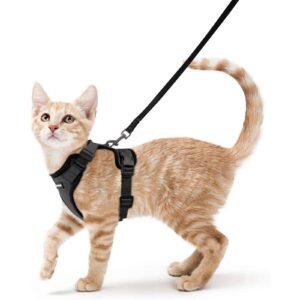Cat Harness